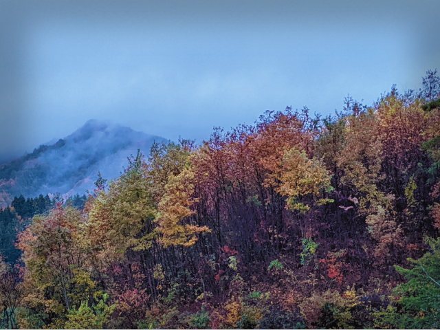 アトリエの風景