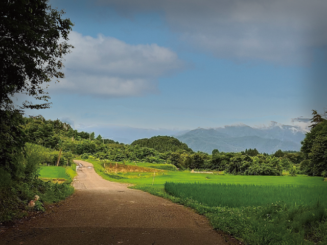 近くの田舎道